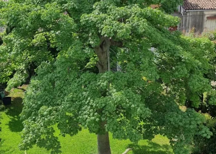 A Casa Nostra Gæstehus 3*